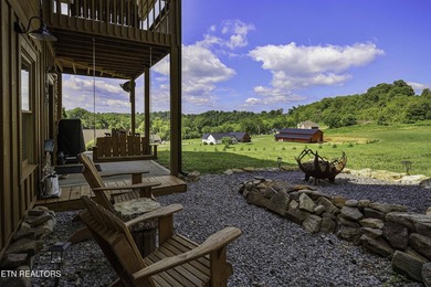 THE HOLSTON RIVER RUNS THROUGH IT. Here it is, NEW PICTURES - photo 12