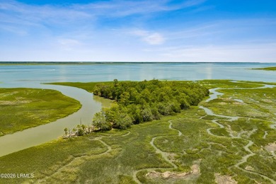 Discover an extraordinary 8-acre private island paradise, where - photo 5