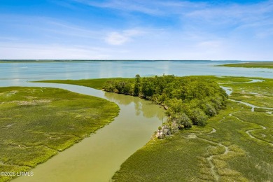 Discover an extraordinary 8-acre private island paradise, where - photo 6