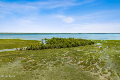 Discover an extraordinary 8-acre private island paradise, where - photo 8