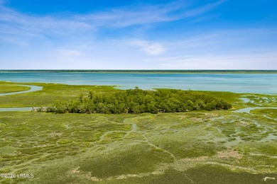 Discover an extraordinary 8-acre private island paradise, where - photo 9
