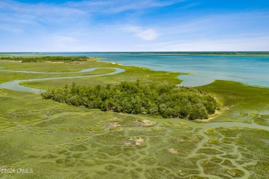 Discover an extraordinary 8-acre private island paradise, where - photo 10