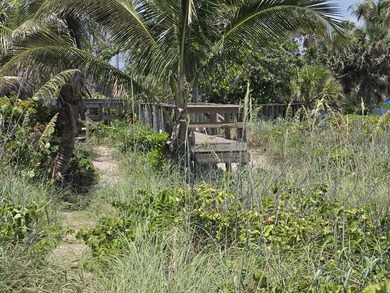 Rare opportunity to own a piece of heaven as Live-in or - photo 38