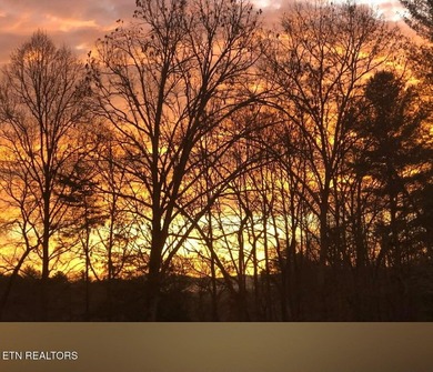 THE HOLSTON RIVER RUNS THROUGH IT. Here it is, NEW PICTURES - photo 51
