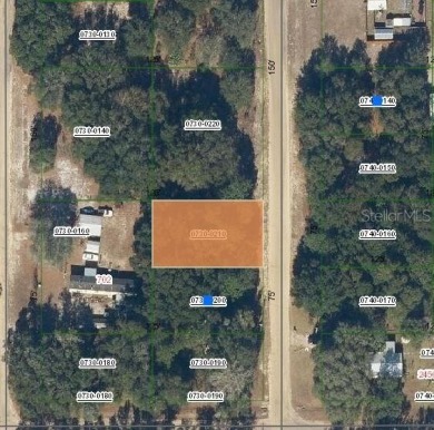 Lake Lot For Sale in Interlachen, Florida