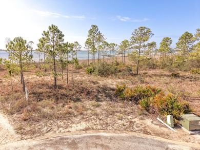 Build your dream estate on this exceptional oversized waterfront - photo 2