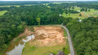 3+ acres of Prime Waterfront Property - photo 18