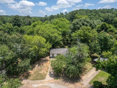 Renovated and Move-in ready! This 4-bedroom, 1-bath home offers - photo 29