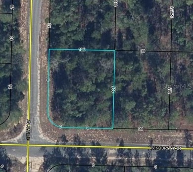 Blue Homestead Lake  Lot For Sale in Chipley Florida