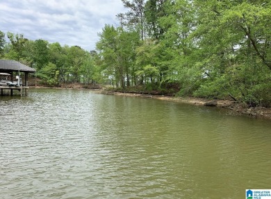 Lake Lot For Sale in Pell City, Alabama