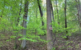 4.5 BEAUTIFULLY WOODED IN THE MOUNTAINS OF NORTH CAROLINA! - Lake Lot For Sale in Hayesville, North Carolina