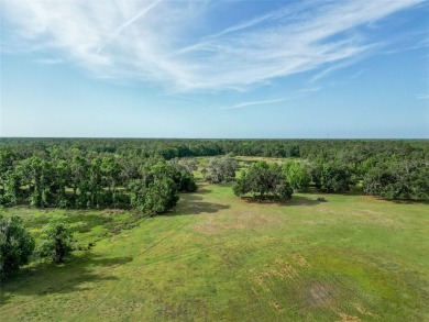 (private lake, pond, creek) Acreage For Sale in Webster Florida