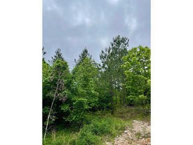 Broken Bow Lake Lot For Sale in Broken Bow Oklahoma