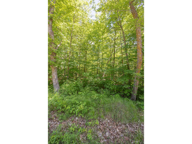 Just minutes from Woman Lake, this 5.87-acre parcel places you - photo 1