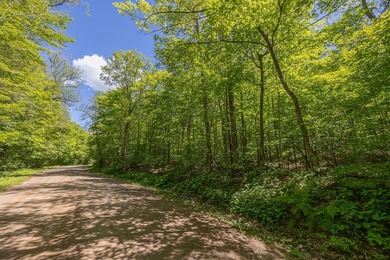 Just minutes from Woman Lake, this 5.87-acre parcel places you - photo 2