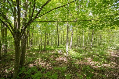 Just minutes from Woman Lake, this 5.87-acre parcel places you - photo 3