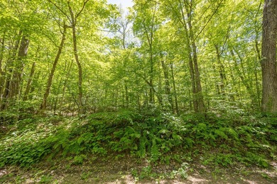 Just minutes from Woman Lake, this 5.87-acre parcel places you - photo 4