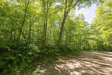 Just minutes from Woman Lake, this 5.87-acre parcel places you - photo 5