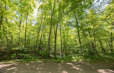 Just minutes from Woman Lake, this 5.87-acre parcel places you - photo 6