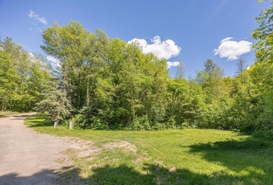 Just minutes from Woman Lake, this 5.87-acre parcel places you - photo 7