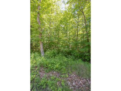 Just minutes from Woman Lake, this 5.87-acre parcel places you - photo 9