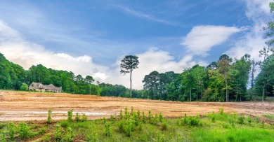 3+ acres of Prime Waterfront Property - photo 13