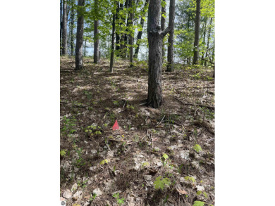 Grand Traverse Bay - East Arm Lot For Sale in Traverse City Michigan