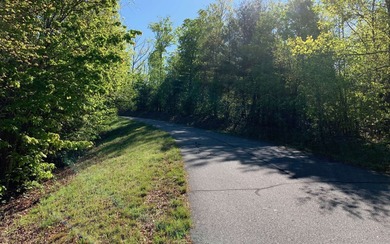 BIG NORTH CAROLINA MOUNTAIN VIEWS!! This 4.02 acre lot offers - photo 4