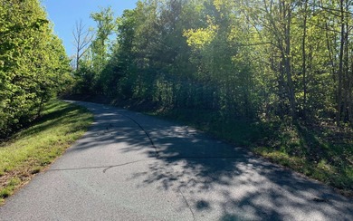 BIG NORTH CAROLINA MOUNTAIN VIEWS!! This 4.02 acre lot offers - photo 5