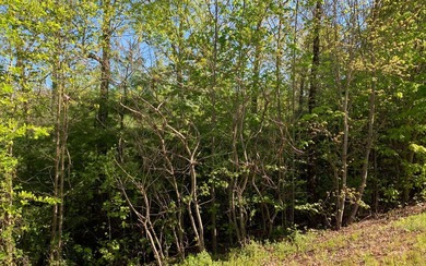 BIG NORTH CAROLINA MOUNTAIN VIEWS!! This 4.02 acre lot offers - photo 6