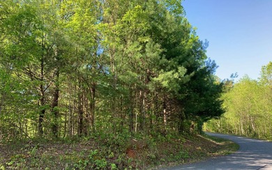BIG NORTH CAROLINA MOUNTAIN VIEWS!! This 4.02 acre lot offers - photo 7
