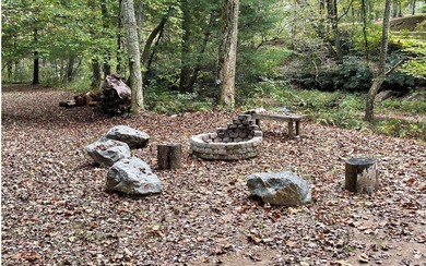BIG NORTH CAROLINA MOUNTAIN VIEWS!! This 4.02 acre lot offers - photo 8
