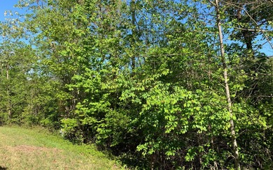 BIG NORTH CAROLINA MOUNTAIN VIEWS!! This 4.02 acre lot offers - photo 9