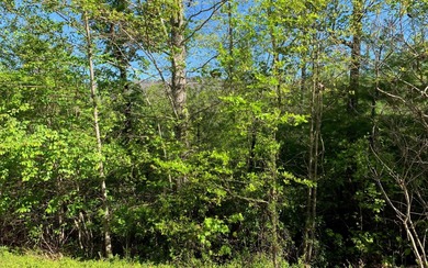 BIG NORTH CAROLINA MOUNTAIN VIEWS!! This 4.02 acre lot offers - photo 10
