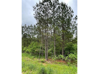 Broken Bow Lake Lot For Sale in Broken Bow Oklahoma