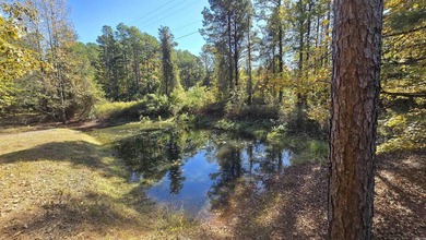 Peaceful Country Living on 2 Unrestricted Acres,One of the - photo 33
