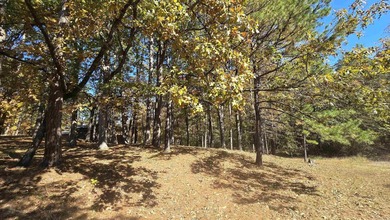 Peaceful Country Living on 2 Unrestricted Acres,One of the - photo 44