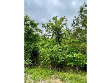 Broken Bow Lake Lot For Sale in Broken Bow Oklahoma