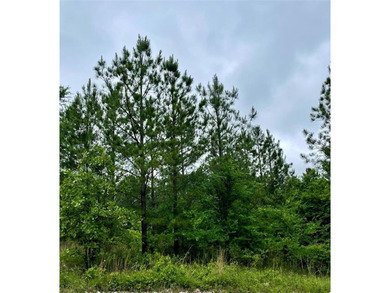 Broken Bow Lake Lot For Sale in Broken Bow Oklahoma