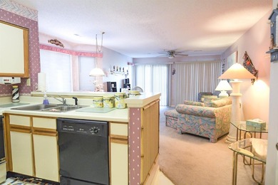 1st Floor End unit comes completely furnished including washer - photo 14