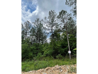Broken Bow Lake Lot For Sale in Broken Bow Oklahoma