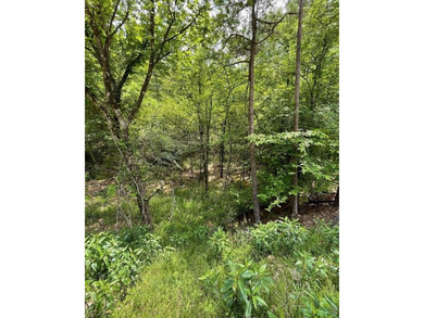 Broken Bow Lake Lot For Sale in Broken Bow Oklahoma