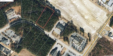 Cape Fear River Commercial For Sale in Lillington North Carolina