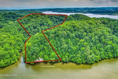 Tennessee River - Blount County Acreage For Sale in Louisville Tennessee