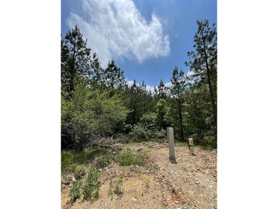 Broken Bow Lake Lot For Sale in Broken Bow Oklahoma