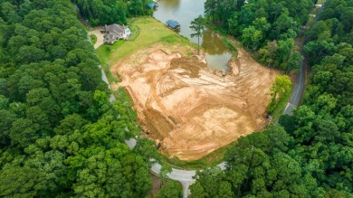 3+ acres of Prime Waterfront Property - photo 14