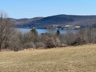 Gorgeous Building Lot - Lake Acreage For Sale in Schuyler Lake, New York