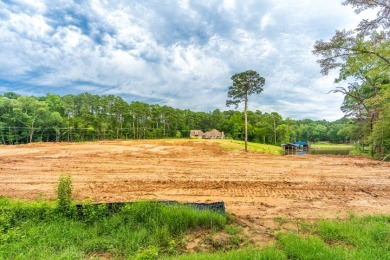 3+ acres of Prime Waterfront Property - photo 11