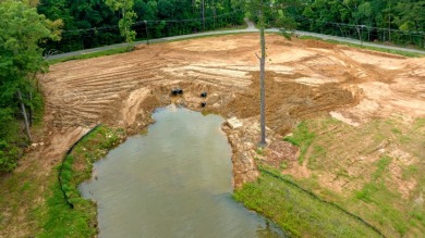 3+ acres of Prime Waterfront Property - photo 17