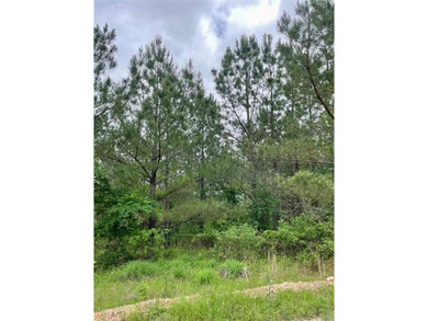 Broken Bow Lake Lot For Sale in Broken Bow Oklahoma